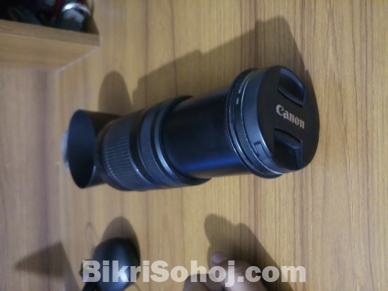 Canon 55-250mm lens ( Fully fress)